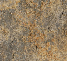 morisca-multicolor_3927