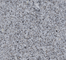 silvestre-claro_BB19344