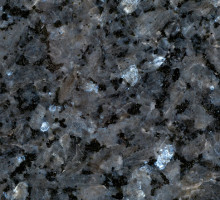 labrador-claro-extra-04620b